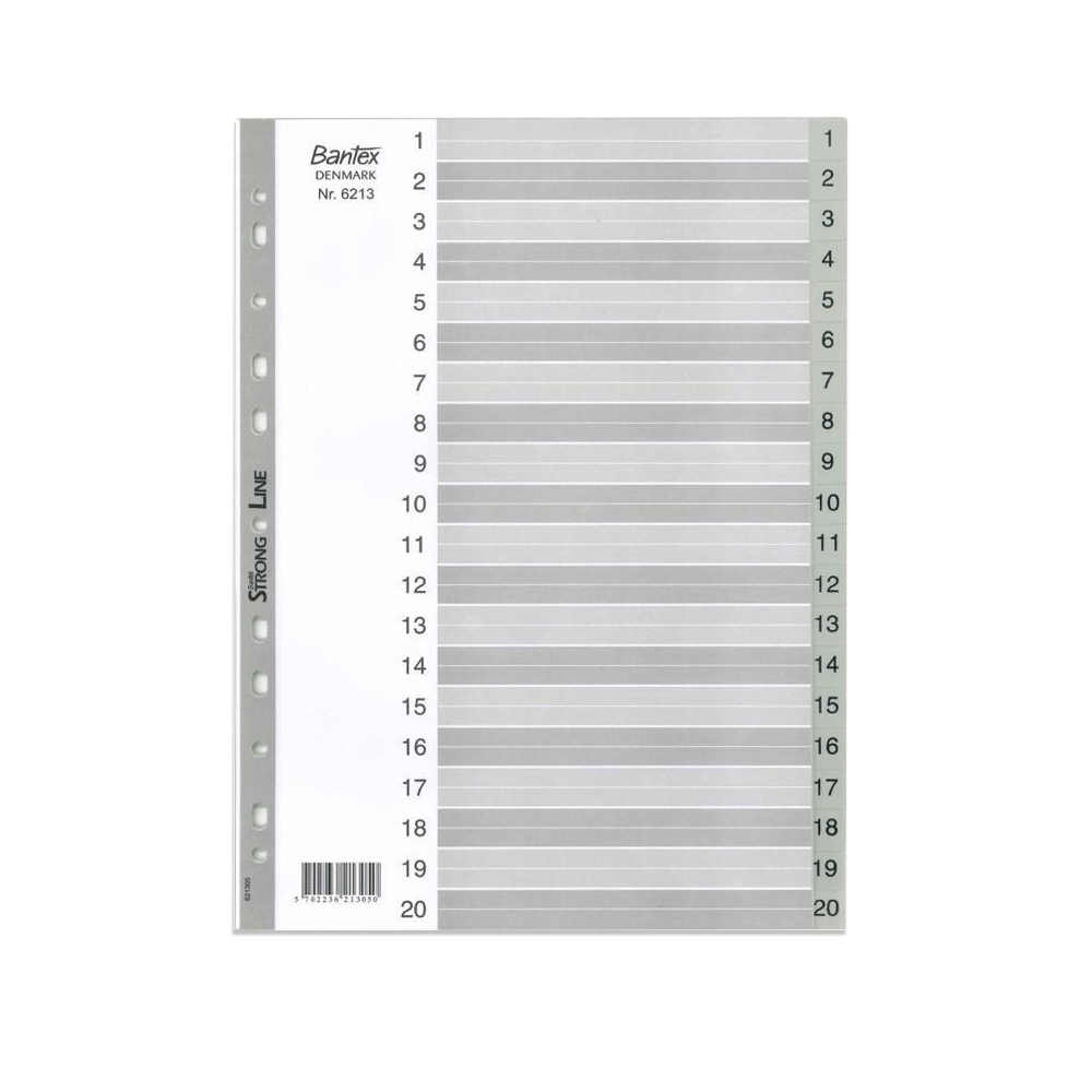 Bantex 6213 A4 index 索引分隔頁 1-20 灰色 膠質